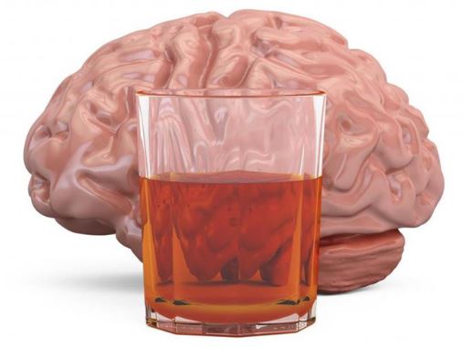 ảnh hưởng của rượu đối với não