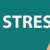 Stress là gì? 