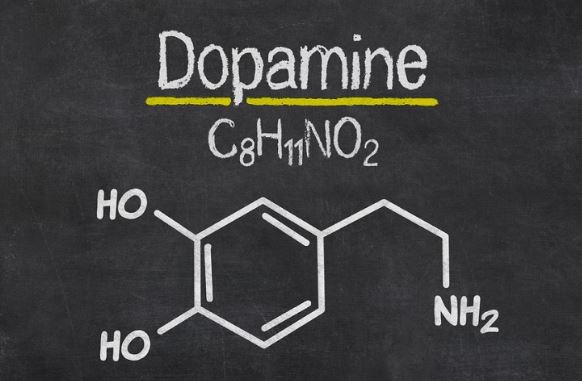 dopamine