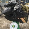 Bắt giữ đối tượng vận chuyển 10,7kg thảo mộc nghi là cần sa